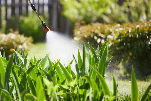 24/7 Emergency Bed Bug Control experts in Miami Shores, FL