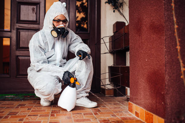 Reliable Bed Bug Control contractor in Miami Shores, FL by Nex Pest Control