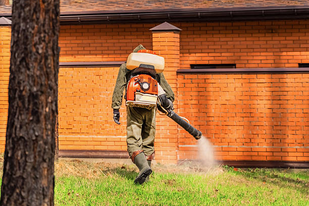 Trusted Bed Bug Control service in Miami Shores, FL - Nex Pest Control